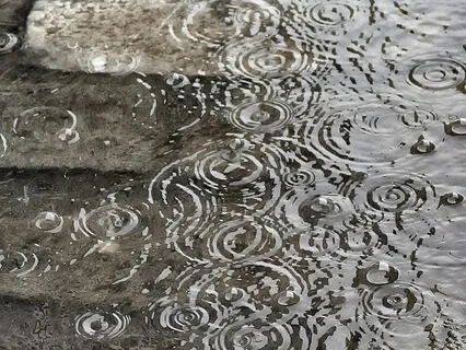 Storm Soundscape: Rain And Howling Winds