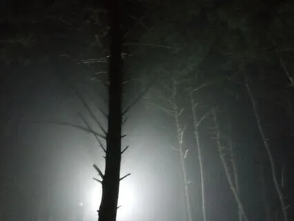 Storm To Connect Much More