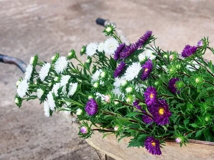 Storms Pass; You Remain