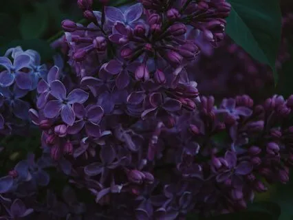 Stormy Night At The Lilac Lighthouse: Sleepy Journey