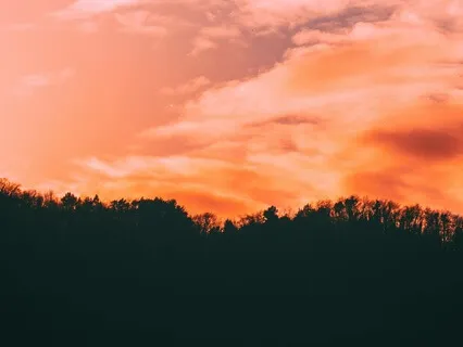 Story: Harry The Hedgehog Meets Park Ranger Pablo (Birdsong)