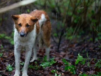 Story Of Jill And Her Inner Peace