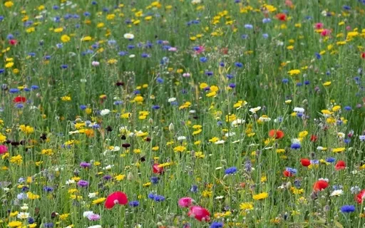 StoryPaws: A Mystical Old World Story: Toxics (6)