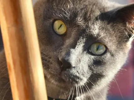 Storytelling For Sleep And A 10 Hours Campfire