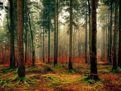 The Parable Of Paul - Inspirational Story