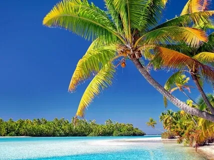 StoryWinds: Resiliency