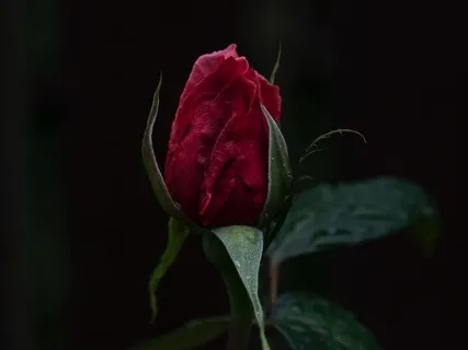 Straight From The Heart - Relaxing Music To Calm Down, Meditate & Enjoy Deep Sleep