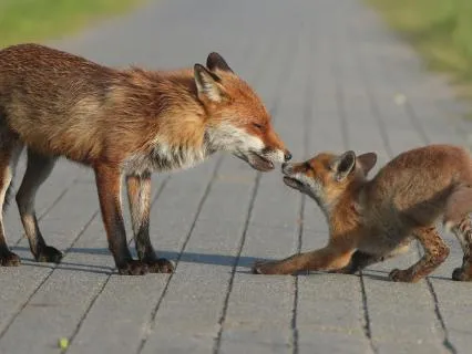 Strand Of Gold (For Olli)