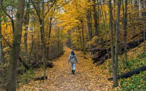 Strategies To Raise Your Motivation & Energy (Recording)