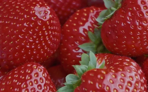 Strawberry Hill Chapter 14