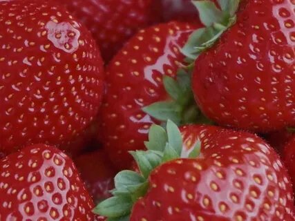 Strawberry Hill Chapter 15