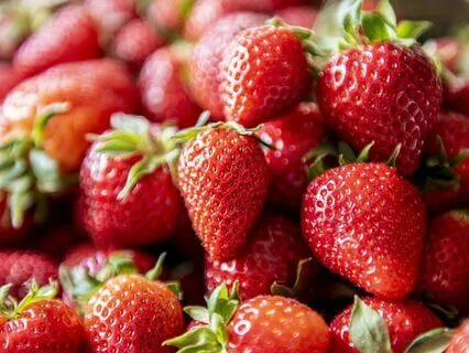 Strawberry Hill, Chapter 17