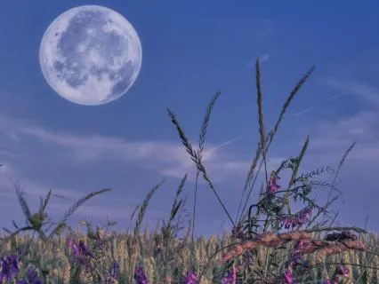 Strawberry Moon For Letting Go, Trust, And Abundance