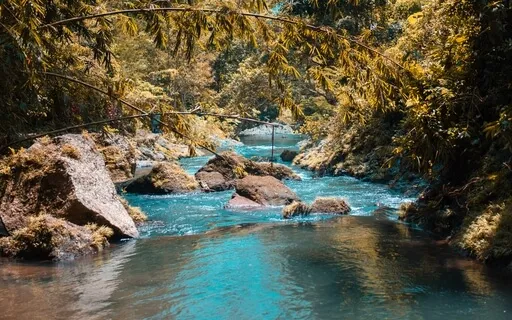 Stream, Birds & Bells