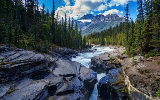 Stream By The Woods, With Alpha 10Hz Binaural Waves + 432Hz