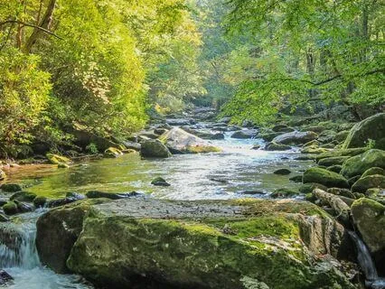 Stream Flow In The Spring