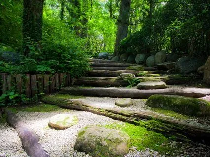 Stream Of Consciousness Visualisation Meditation