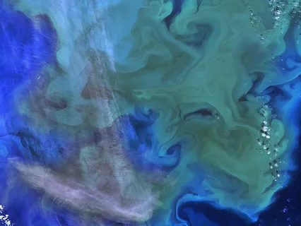 Stream Of Consciousness