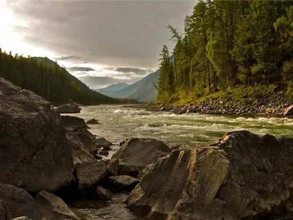 Stream Of Relaxation 