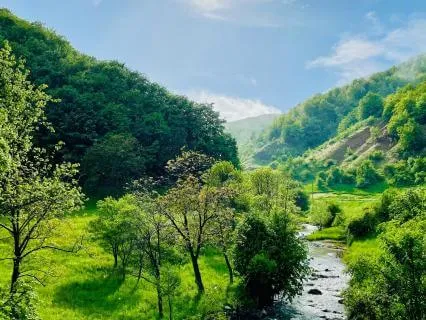 Stream Of Well-Being