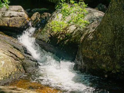 Stream's Gentle Flow