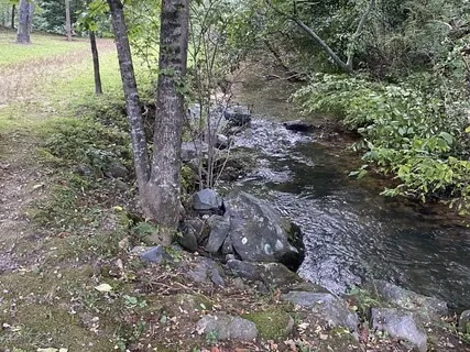 Stream Song Sound Bath