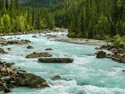 Stream Sounds For Sleep (10 Hour)