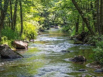 Streaming Waters And Handpan Motions