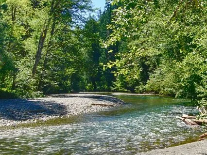 Streams and Rocks: A Visualization to Release Heavy Thoughts