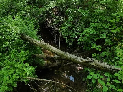 Streams Of Possibility