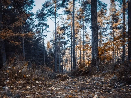 Street Compassion Practice 