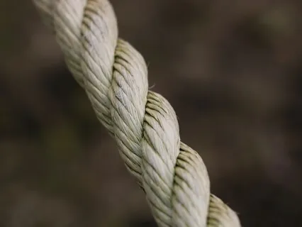 Strength & Dedication 