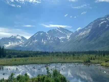 Strength And Resilience