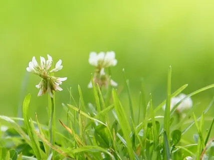 Strength And Weakness