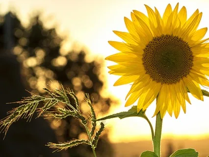 Strength Beneath Sadness - 5 Minute Breather