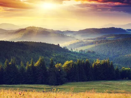 Strength From The Sun 