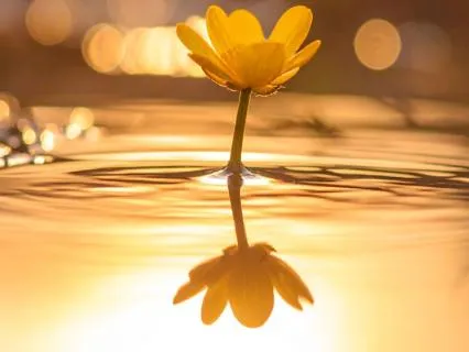 Strengthen Intuition And Inner Knowing