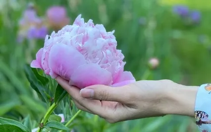 Strengthen Resilience: Dr. Rick Hanson Inspired Meditation