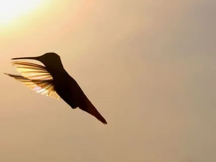 Strengthen Your Energetic Boundaries