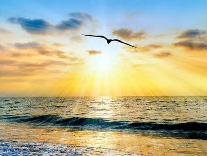 Strengthen Your Soul Connection In 5 Minutes