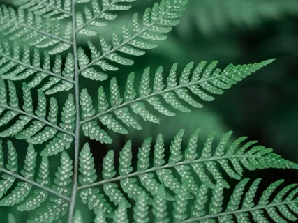 Strengthening And Loving Your Amazing Lungs