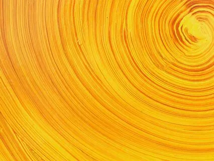 Strengthening Boundaries: A Guided IFS Practice