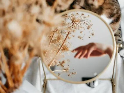 Strengthen Boundaries After Trauma