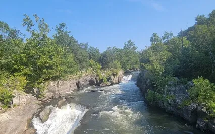 Strengthening Powers Of Discernment For Detox