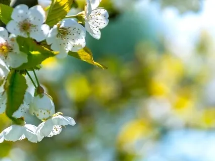 Strengthening Self-Care