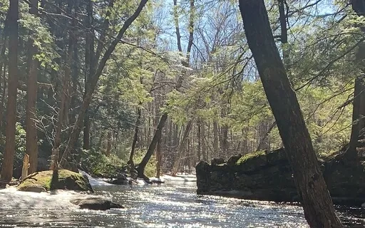 Strengthening Your Aura