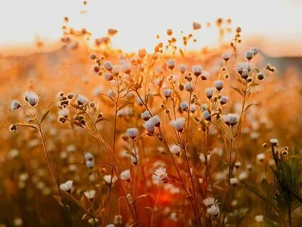 Strengthening Your Intuition