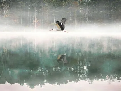 Strengthening Your Sense Of Deep Inner Confidence