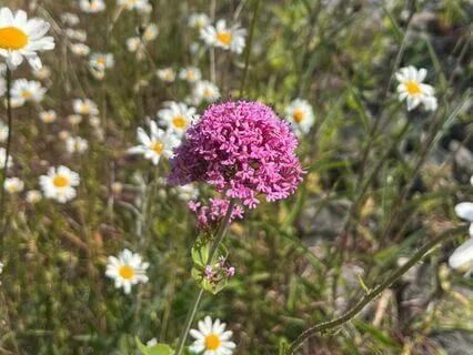 Stress & Anxiety: A Spiritual Navigation