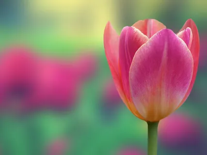 Stress And Anxiety: Awaken The Brain